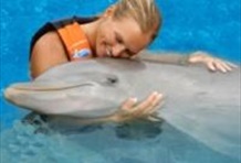 Dolphin Swim Adventure